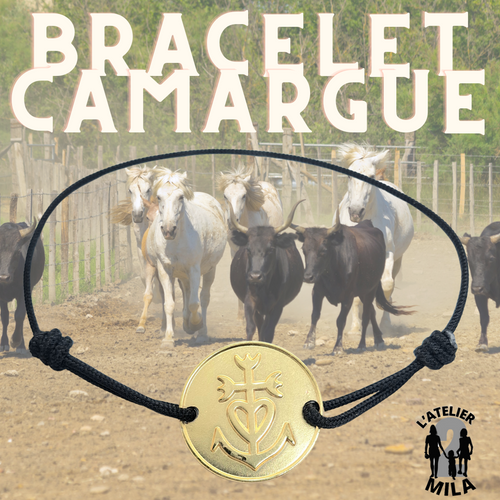 Bracelet ~ Camargue
