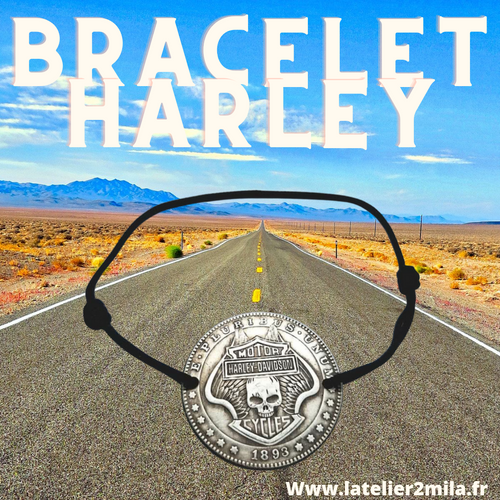 Bracelet ~ Harley